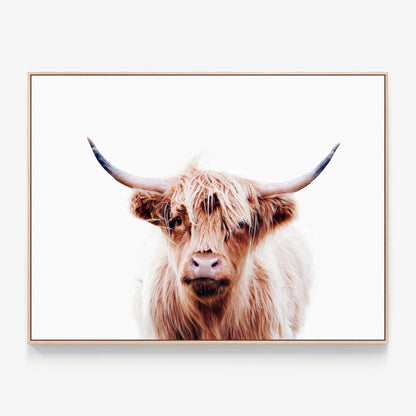 Duncan highland cow canvas wall art with oak float frame