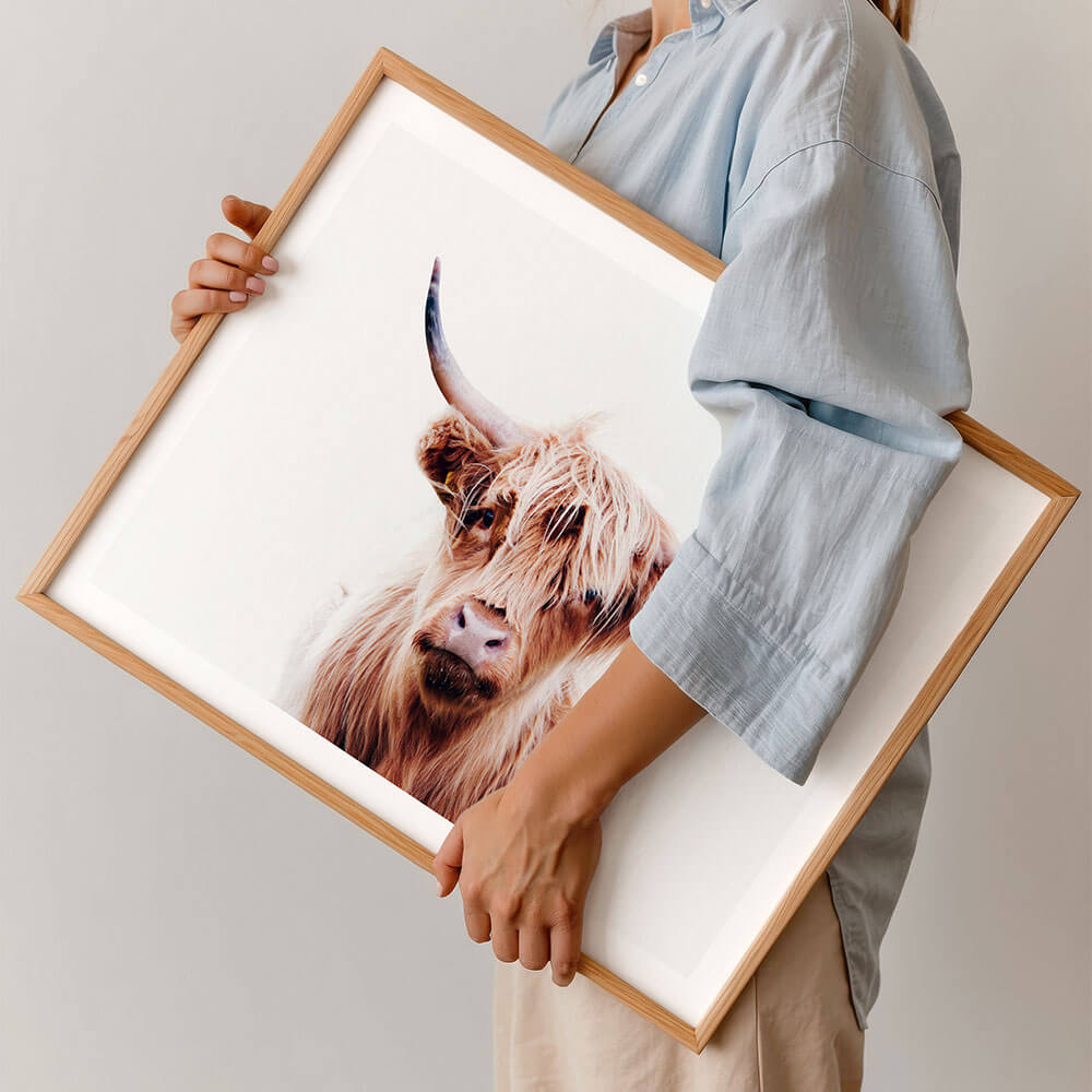 Duncan-Highland-Cow-Wall-Art.jpg