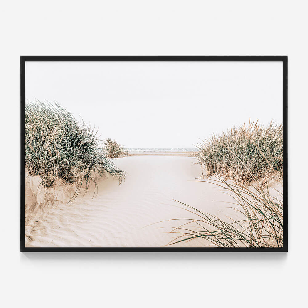 Dune Entrance