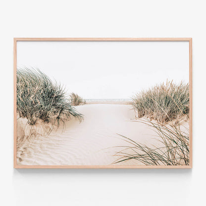 Dune Entrance