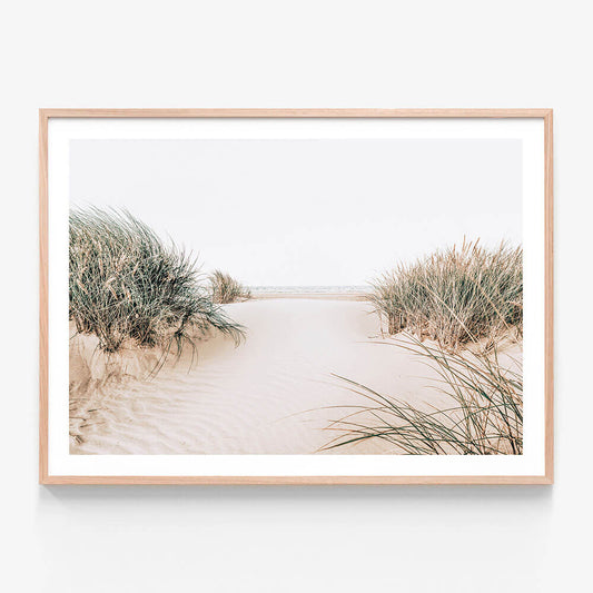 A framed photo wall art print featuring sand dunes on the beach with coastal grass