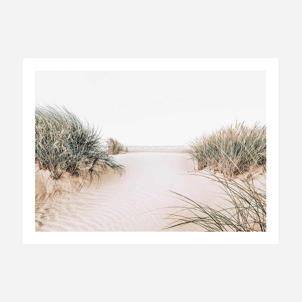 A coastal beach photo print featuring sand, grass and the ocean.
