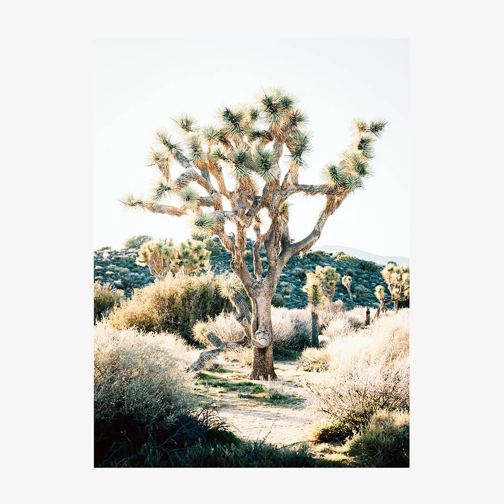 Eagle Mountain