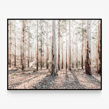 Eucalyptus Landscape Canvas