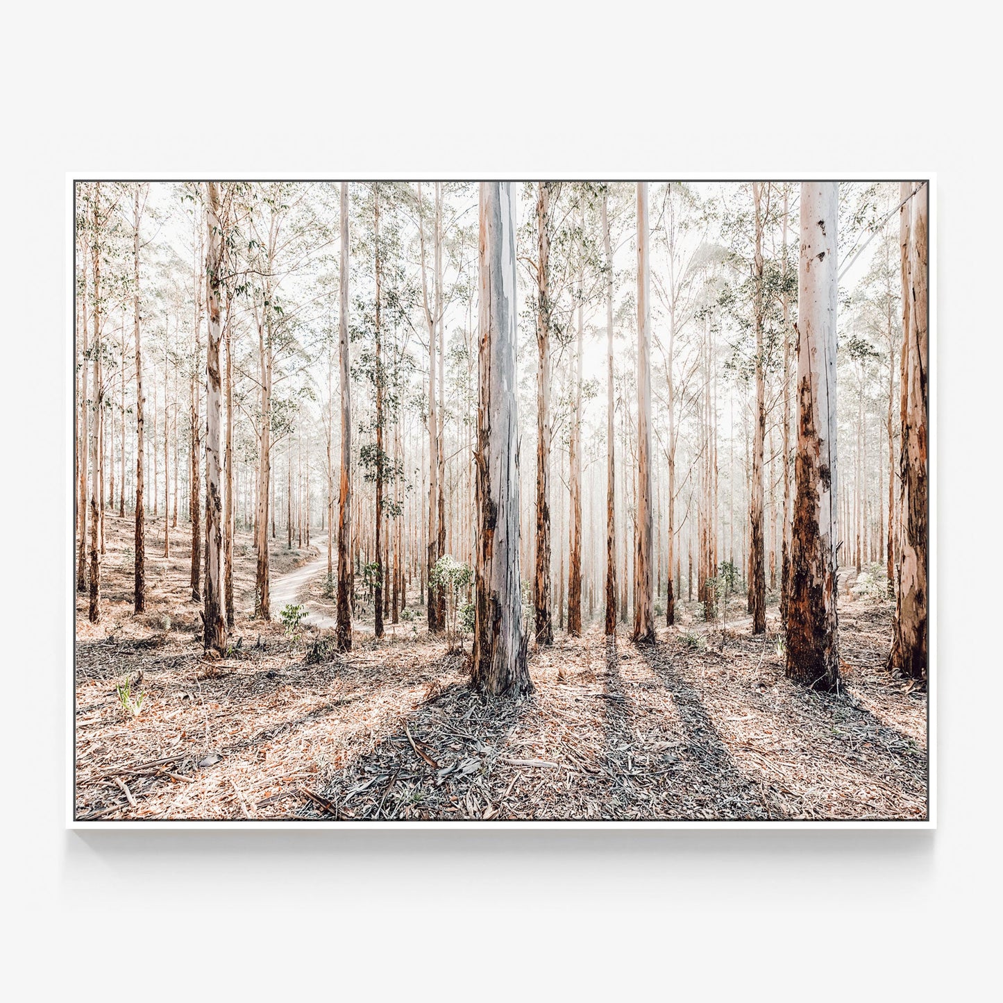 Eucalyptus Landscape Canvas
