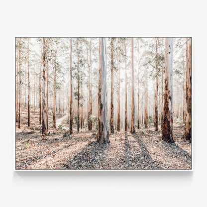 Eucalyptus Landscape Canvas