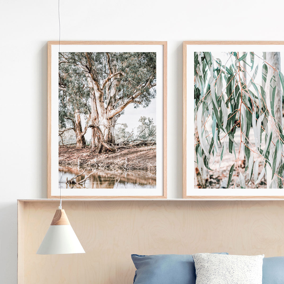 River Red Gums