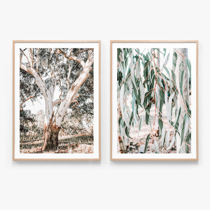 Print Set No. 40