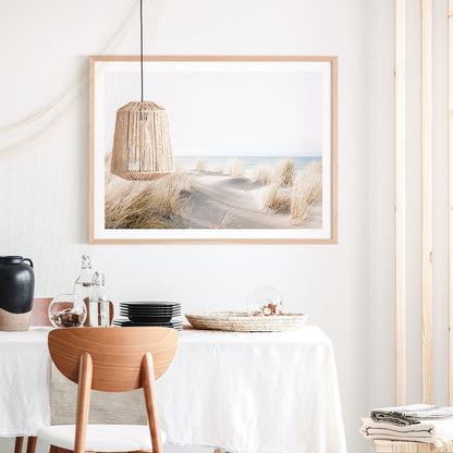 Beach Dunes