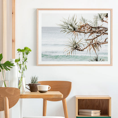 Pandanus View