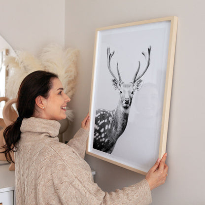 Fallow-Deer-Black-And-White-Framed-Print.jpg