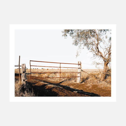 A photo art print of a rural farm gate with a tree in the background, leading to a field in the Australian landscape.