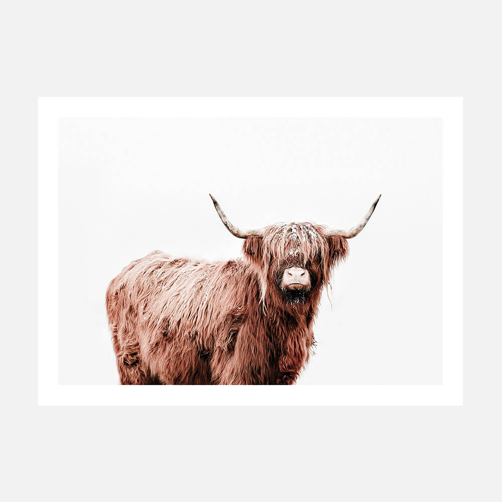 Fergus