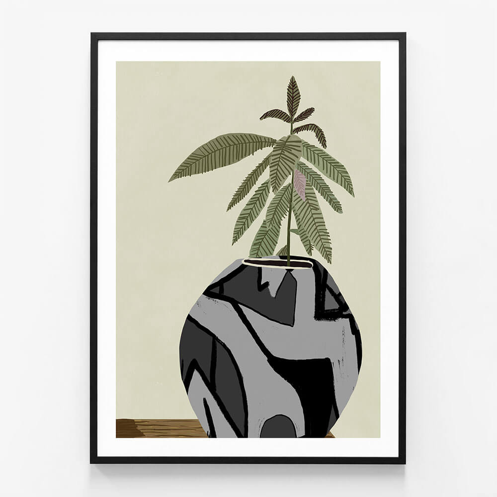 Fiddle Fig