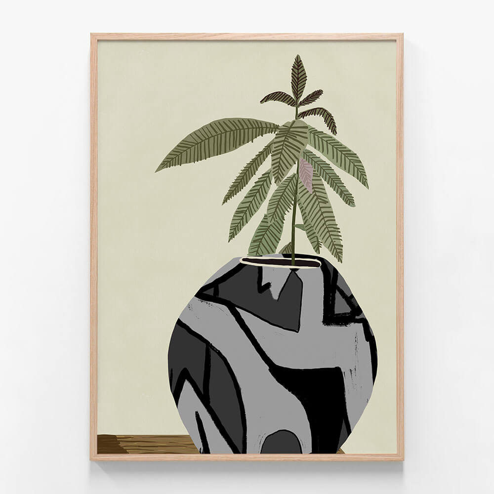Fiddle Fig