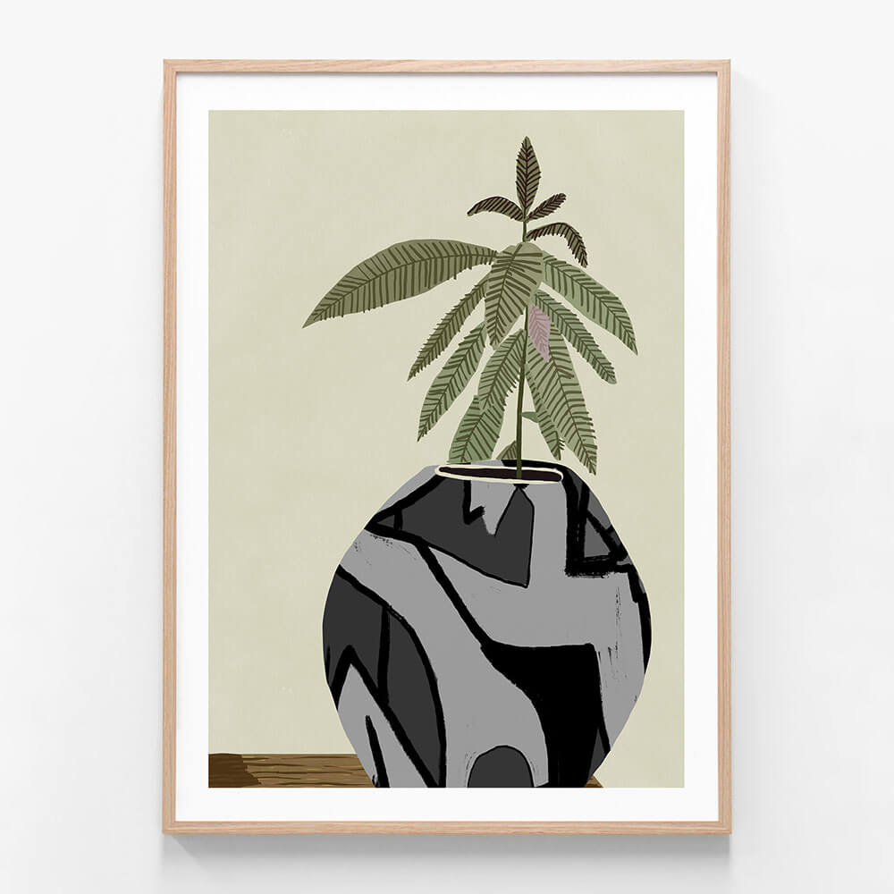 Fiddle Fig