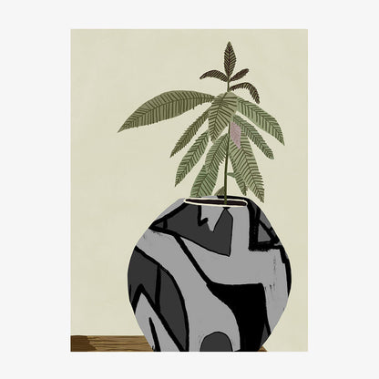 Fiddle Fig