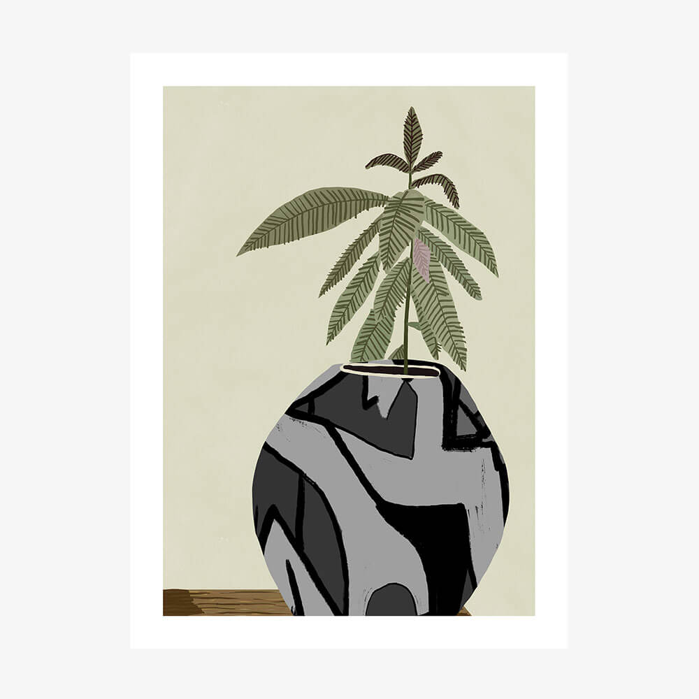 Fiddle Fig