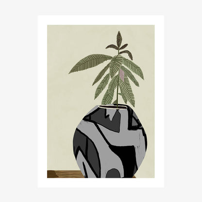 Fiddle Fig