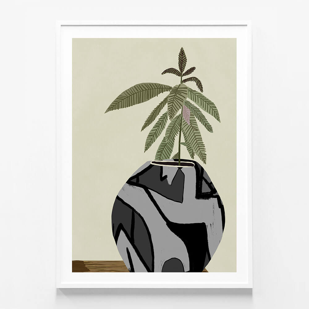Fiddle Fig