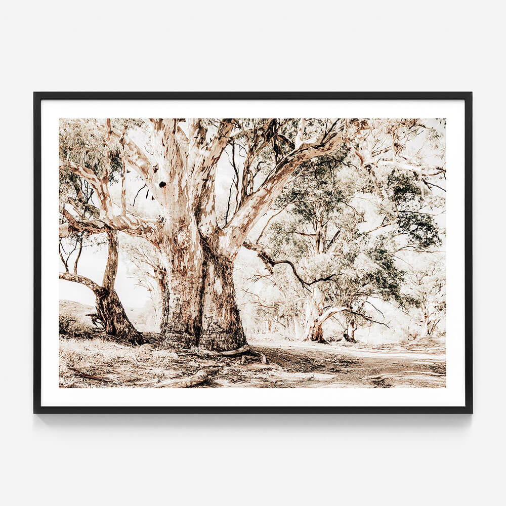 Flinders Ranges