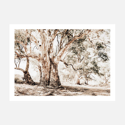 Flinders Ranges