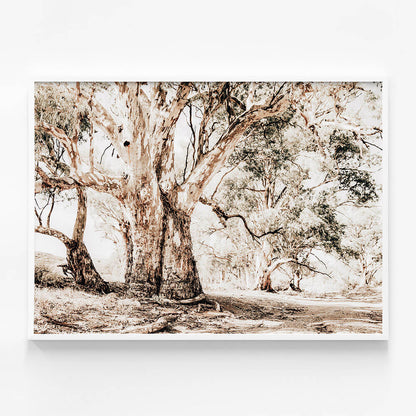 Flinders Ranges