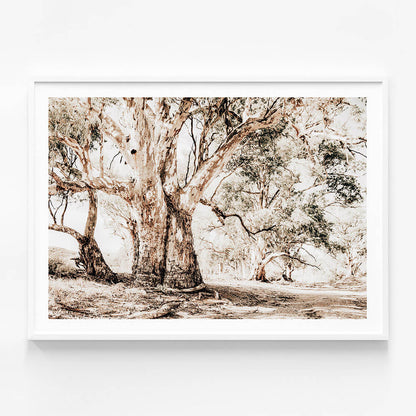 Flinders Ranges