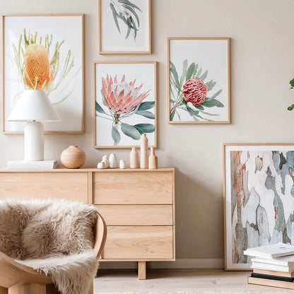 A gallery wall of Australian floral and botanical wall art prints.