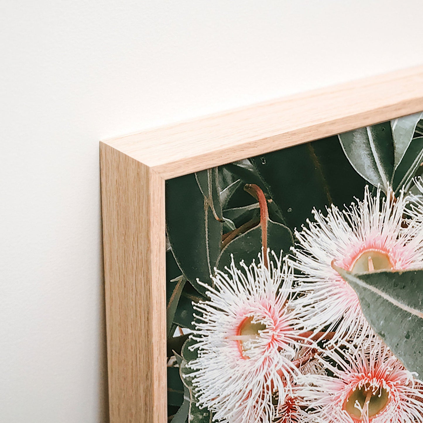 Flowering Gum Canvas wall art corner detail