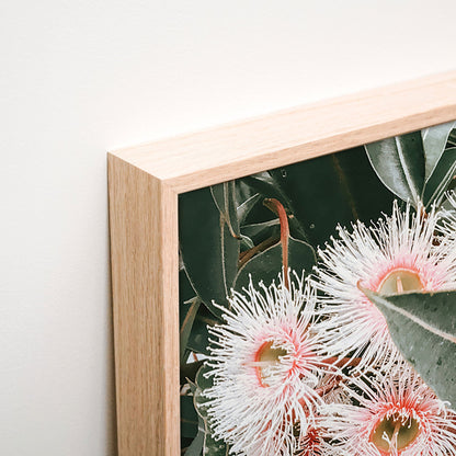 Flowering Gum Canvas wall art corner detail