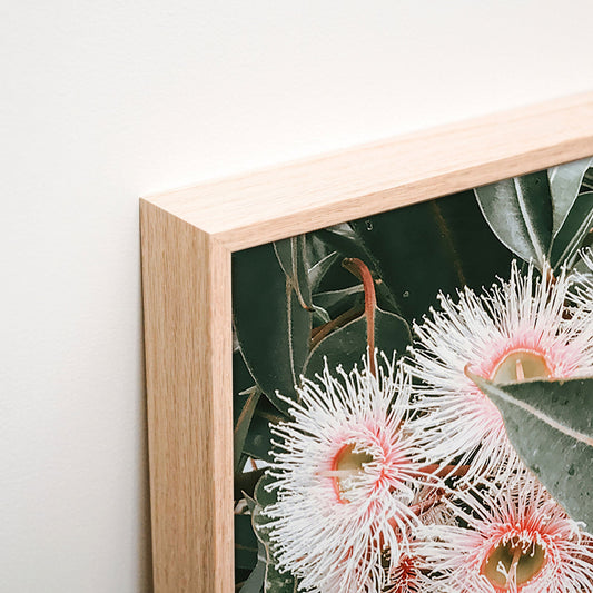 Flowering Gum Canvas wall art corner detail