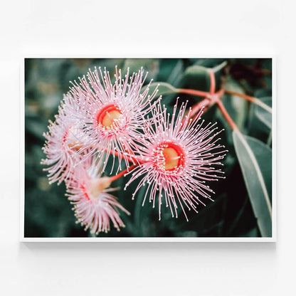 Flowering Native
