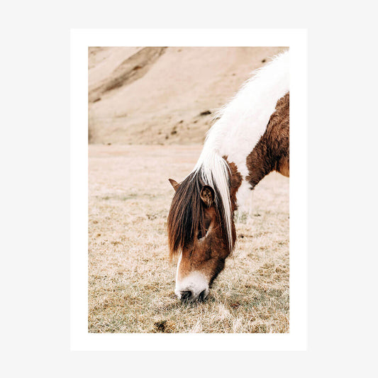 A poster art print featuring a horse in a natural setting with a predominantly white and brown color palette.