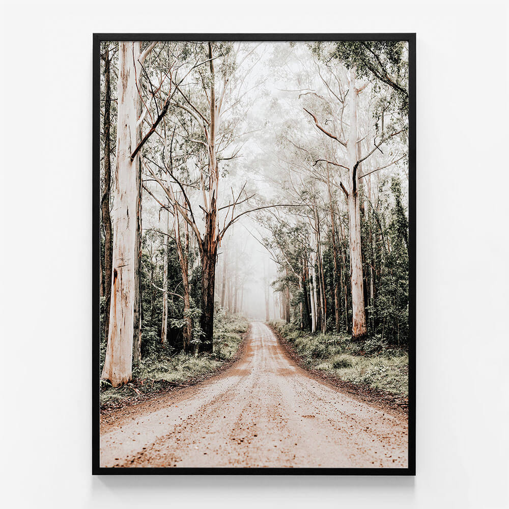 Forest Road