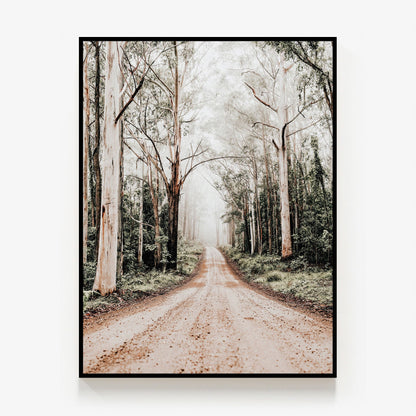 Forest Road Canvas