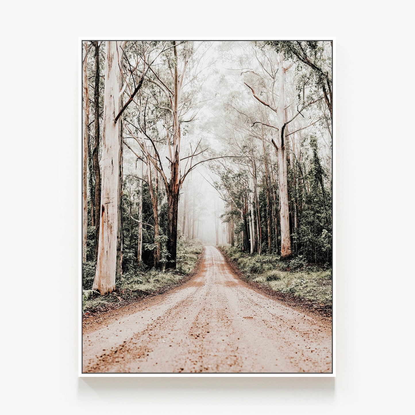 Forest Road Canvas