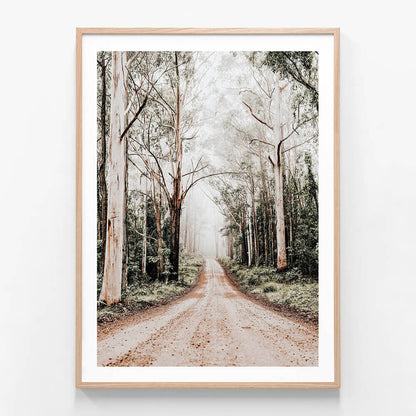 Forest Road wall art print in oak frame