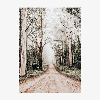 Forest Road