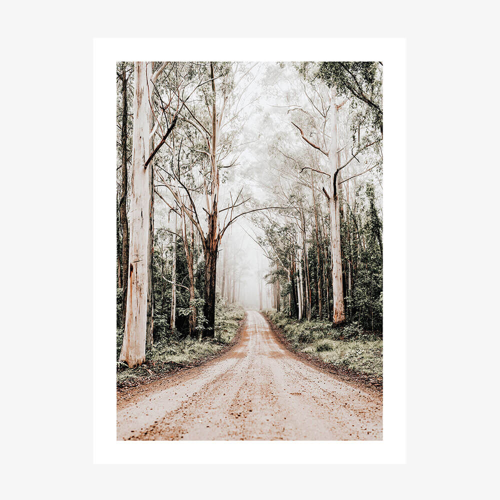 Forest Road wall art print
