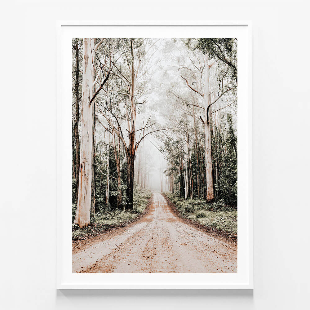 Forest Road