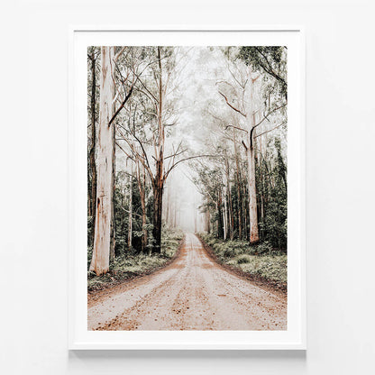 Forest Road