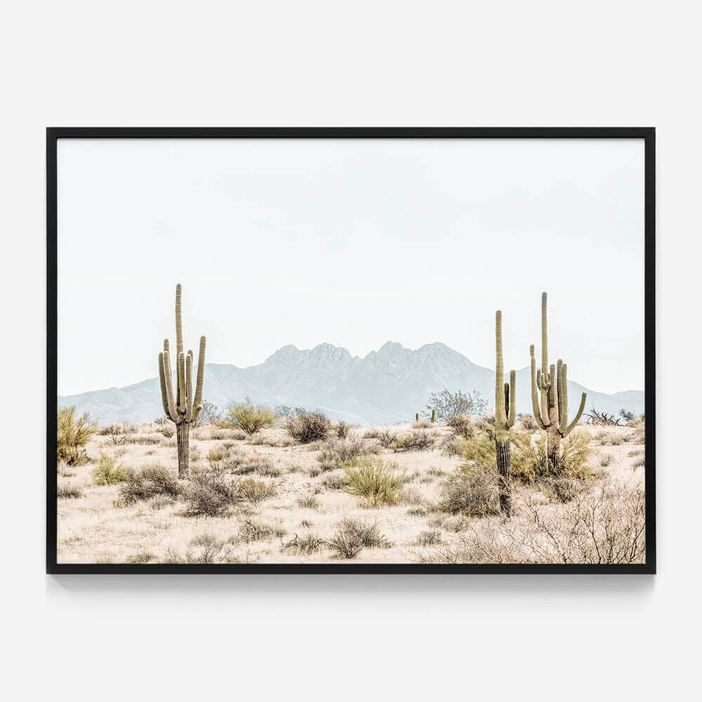 Four Peaks Saguaros