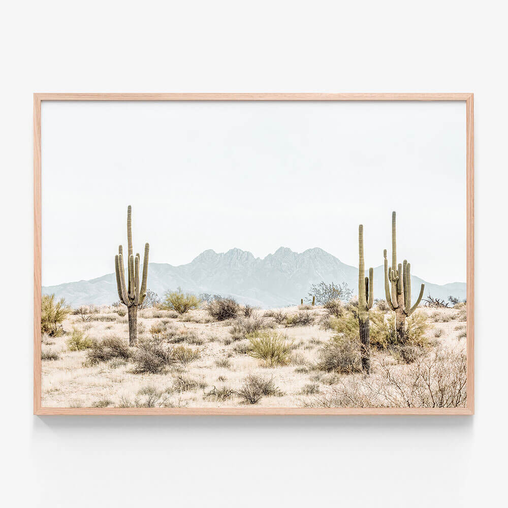 Four Peaks Saguaros