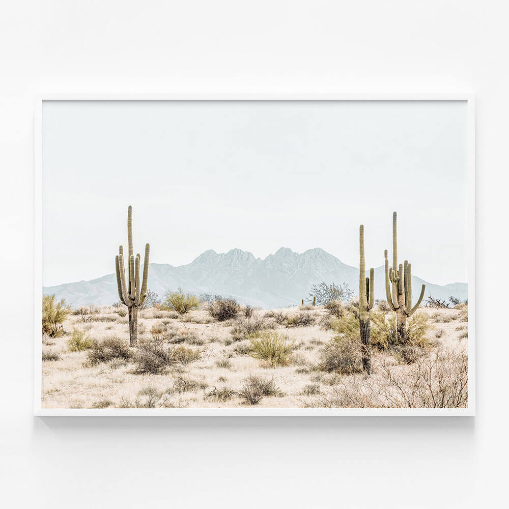 Four Peaks Saguaros