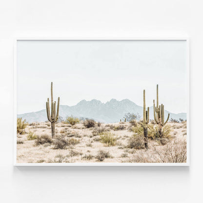 Four Peaks Saguaros
