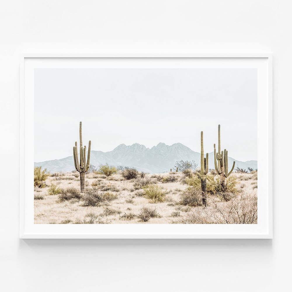Four Peaks Saguaros