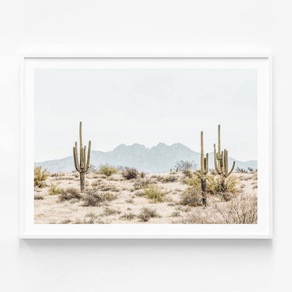 Four Peaks Saguaros
