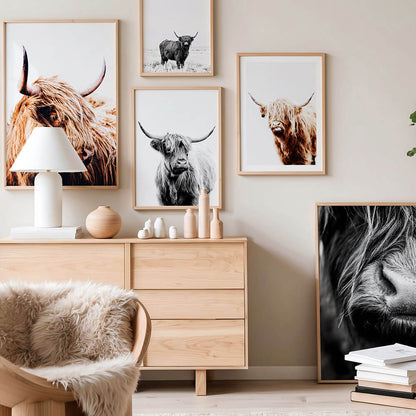 A gallery wall collection of highland cow wall art prints.