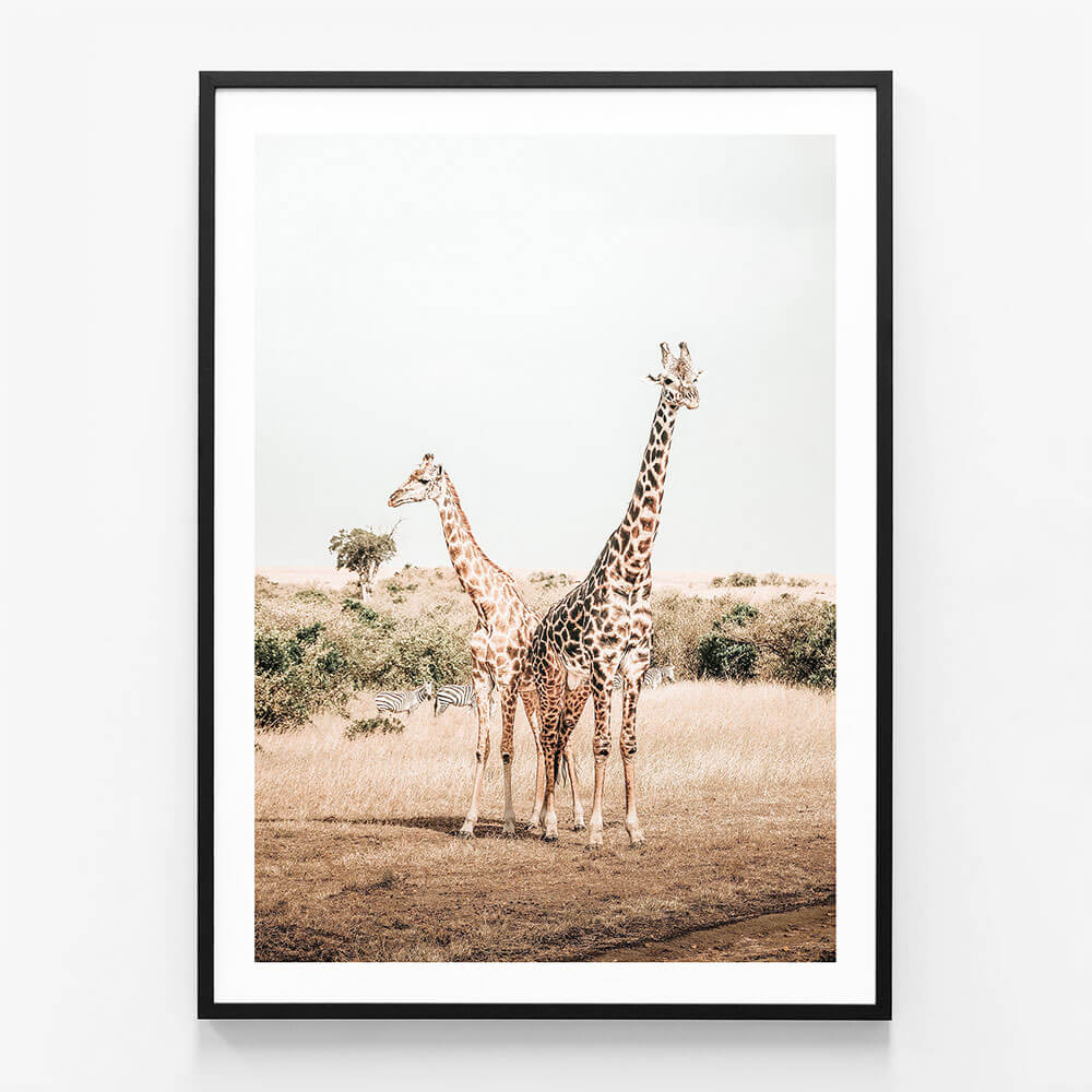 Giraffe Goals